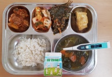 식단