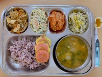 급식 사진