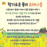 급식사진<식생활관<학교소식<운봉초등학교 운봉초등학교