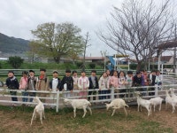 학교행사<학교소식<알림마당<남원월락초등학교 남원월락초등학교