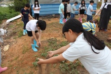 학교앨범<학교앨범<학교소식<부안남초등학교 부안남초등학교