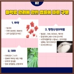 공지사항<알림마당<전주중앙중학교 전주중앙중학교