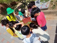 공지사항<양지유치원<전주양지초등학교 전주양지초등학교