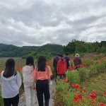 학교앨범<학교소식<마암초등학교 마암초등학교