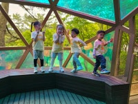 학교앨범<학교소식<정우초등학교 정우초등학교