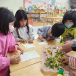 학교앨범<학교소식<창오초등학교 창오초등학교