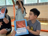 학교앨범<학교소식<삼기초등학교 삼기초등학교
