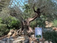 학교앨범<열린마당<성원고등학교 성원고등학교