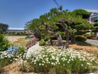 학교앨범<학교소식<백산중학교 백산중학교