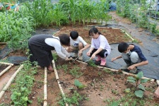 학교앨범