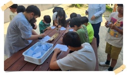 학교앨범<학교소식<행안초등학교 행안초등학교