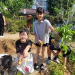 학교 앨범<알림마당<이리부송초등학교 이리부송초등학교
