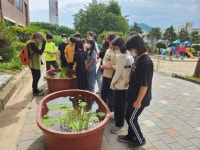 공지사항<양지유치원<전주양지초등학교 전주양지초등학교