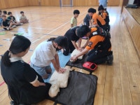 보건소식<학교소식<용봉초등학교 용봉초등학교