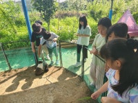 2023년 갤러리<갤러리<학교앨범<수지소식<수지초등학교 수지초등학교