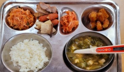 급식앨범<영양소식<학교소식<공음초등학교 공음초등학교