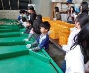 학교앨범<신평소식<신평초등학교 신평초등학교