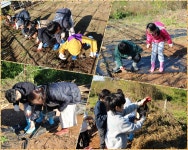 학교앨범<학교앨범<학교소식<부안남초등학교 부안남초등학교