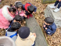 이전 유치원 갤러리<유치원소개<병설유치원<군산신흥초등학교 군산신흥초등학교