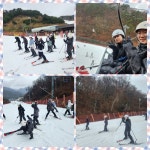 혜당생활과학신림지점 | 학교앨범<학교소식<신림중학교 신림중학교
