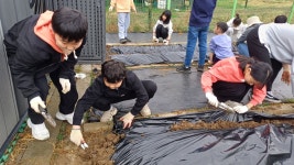 학교앨범<학교소식<아영초등학교 아영초등학교