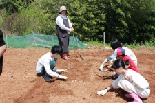 학교앨범