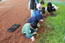 학교앨범<학교앨범<학교소식<부안남초등학교 부안남초등학교