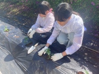 행사 갤러리<학교소식<덕치초등학교 덕치초등학교