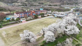 행사 갤러리<학교소식<덕치초등학교 덕치초등학교