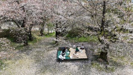 행사 갤러리<학교소식<덕치초등학교 덕치초등학교