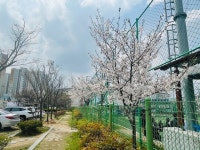 학교앨범<학교앨범<학교소식<이리동중학교 이리동중학교