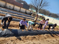 학교앨범<알림마당<갈담초등학교 갈담초등학교