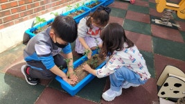 유치원 앨범<유치원<전주용흥초등학교 전주용흥초등학교