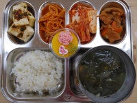 급식안내/급식앨범<급·간식 안내<알림 마당<남원참사랑유치원 남원참사랑유치원