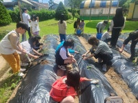 학교앨범<학교소식<성수초등학교 성수초등학교