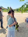 운영앨범