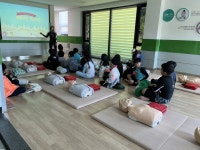 학교앨범<학교소식<성수초등학교 성수초등학교