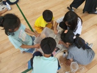 왕치 교육활동<행사앨범<알림마당<남원왕치초등학교 남원왕치초등학교