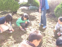 학교앨범<학교소식<임실기림초등학교 임실기림초등학교