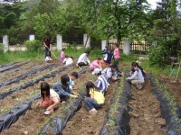 학교앨범<학교소식<임실기림초등학교 임실기림초등학교