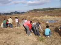 학교앨범<학교소식<임실기림초등학교 임실기림초등학교