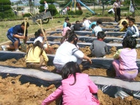 학교앨범<학교앨범<학교소식<술산초등학교 술산초등학교