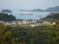 무녀도앨범<알 림 방<무녀도초등학교 무녀도초등학교