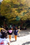 학교앨범