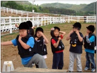 2010년앨범<학교소식<번암초등학교 번암초등학교