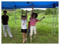 2010년앨범<학교소식<번암초등학교 번암초등학교