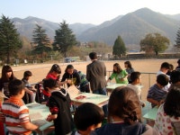 2010년앨범<학교소식<번암초등학교 번암초등학교