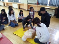 학교앨범<학교소식<진안중앙초등학교 진안중앙초등학교