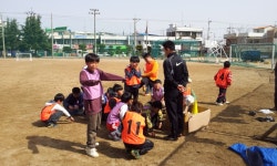 학교앨범<알림마당<군산남초등학교 군산남초등학교