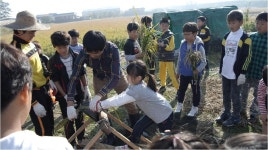 학교앨범(~2022)<학교소식<당북초등학교 당북초등학교